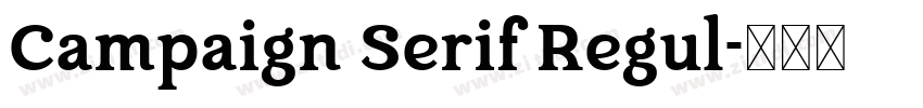 Campaign Serif Regul字体转换